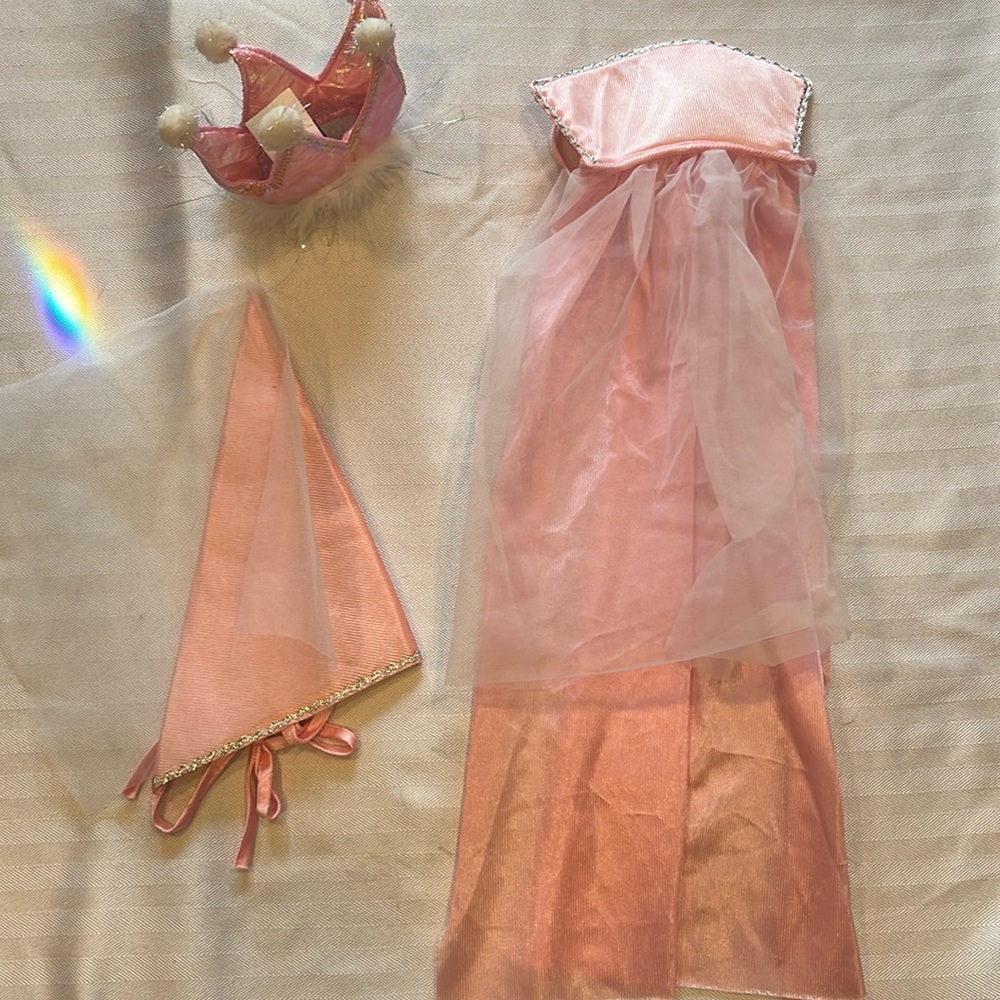 Princess Dog Costume